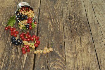Black, red and white currant berries in metal mini bucket on a wooden background.