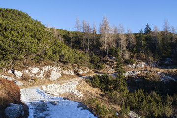 Footpath in the Komna mountain range, Julian Alps.