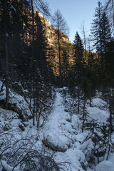 Footpath at Black lake, Julian Alps.