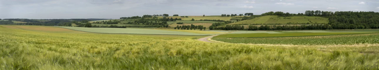 Foto auf Leinwand agrarisch landschap in zuid-limburg © twanwiermans