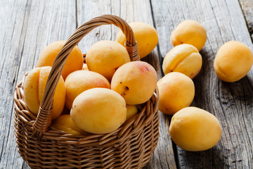 Fototapeta na wymiar Big ripe apricots in basket. Juicy, soft fruit, resembling a small peach