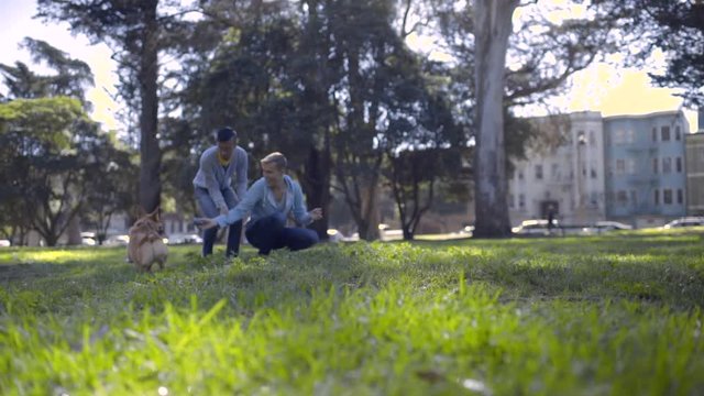Gay Couple Play Fetch With Their Corgi Dog In Dog Park
