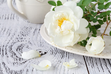 Fototapeta na wymiar White flowers of wild roses