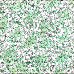 camouflage pattern background