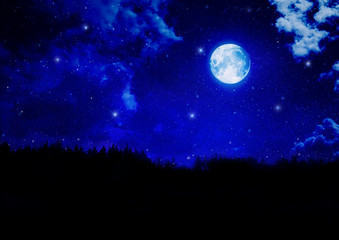 Fototapeta na wymiar nighty wood silhouette with stars and full moon
