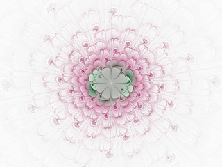 abstract fractal flower computer generated image. Pink flower with a green heart