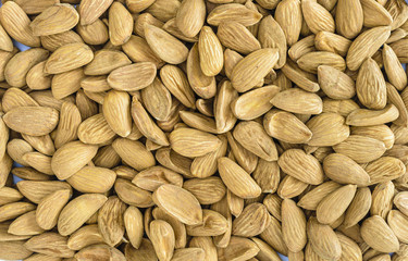 Mamra Almonds