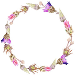 Wildflower immortelle flower wreath in a watercolor style. Full name of the plant: Immortelle. Aquarelle wild flower for background, texture, wrapper pattern, frame or border.