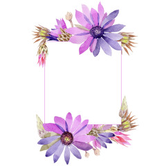 Wildflower immortelle flower frame in a watercolor style. Full name of the plant: immortelle. Aquarelle wild flower for background, texture, wrapper pattern, frame or border.