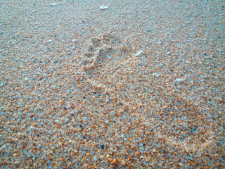 Natural background of human footprint in the wet sandy seaside. Close-up photography on relaxation sign idea design