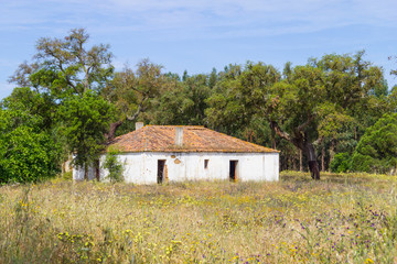 Farm house and trees in Vale Seco, Santiago do Cacem