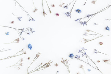 Flowers composition. Frame made of dried flowers on white background. Flat lay, top view