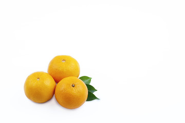 Orange fruit on white background
