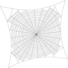 Spiderweb. Isolated on white background. Vector outline illustration.