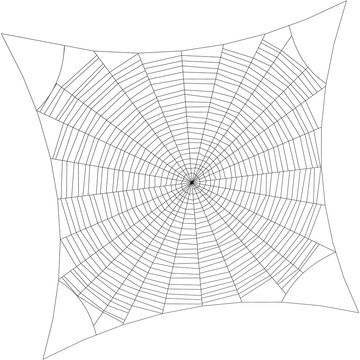 Spiderweb. Isolated on white background. Vector outline illustration.