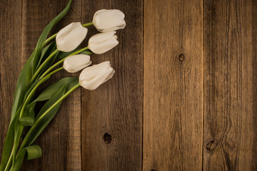 Fototapeta na wymiar White tulips on rustic wooden background.