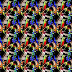 Sky bird colibri pattern in a wildlife by watercolor style. Wild freedom, bird with a flying wings. Aquarelle bird for background, texture, pattern, frame, border or tattoo.