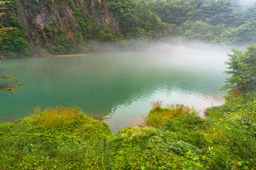 Hot spring lake in the forest