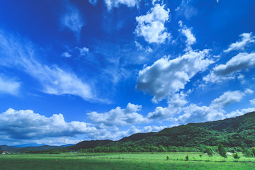 Fototapeta premium 北海道 大自然 牧場