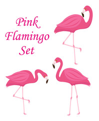 Pink flamingo set of objects. Isolated on white background. Vector illustration