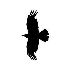 The crow icon. Bird and flight, eagle symbol. Flat Vector illustration