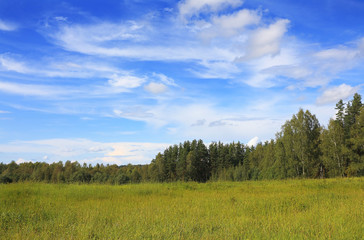 Fototapeta premium Summer landscape