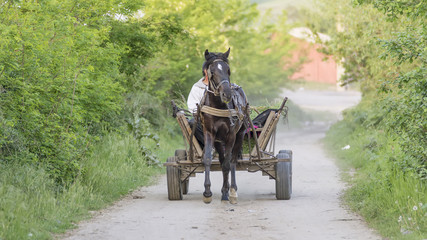 Horse hauls a traditional wooden trailer in the countryside of Toceni, Craiova, Romania, raising...