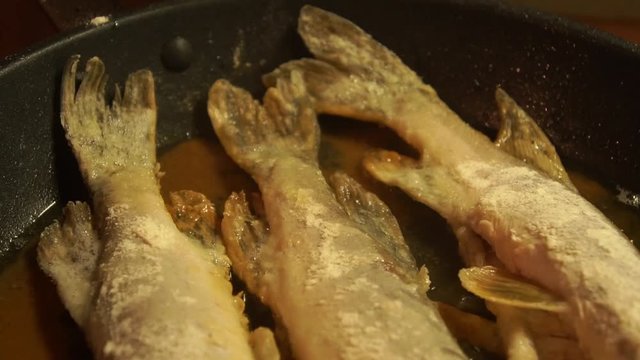 Pike river fried in a skillet