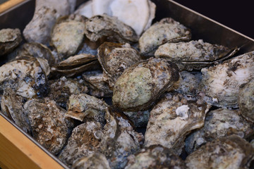 fresh Opened Oysters in market as background