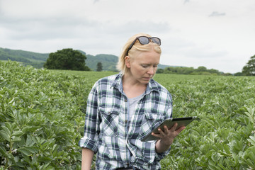 Woman in Outdoor Plantation Looking at Her Tablet Screen