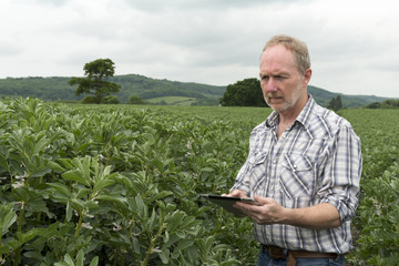 Man Holding Tablet Computer with Foliage and Hills in Background