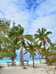 Fototapeta na wymiar Eleuthera Bahamas beach