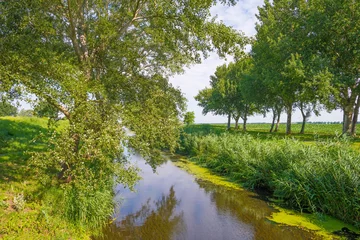 Photo sur Plexiglas Canal Canal in a rural landscape in summer
