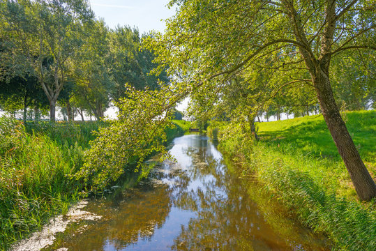 Canal in a rural landscape in summer