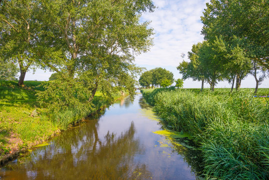 Canal in a rural landscape in summer