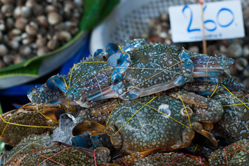 Fresh Crab Sell