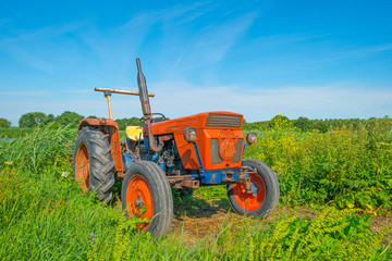 Obraz premium Derelict old tractor in a field in summer