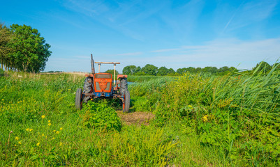 Derelict old tractor in a field in summer