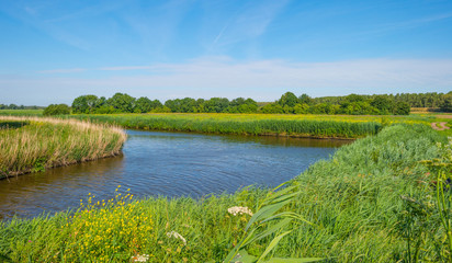 Fototapeta na wymiar Canal in a rural landscape in summer