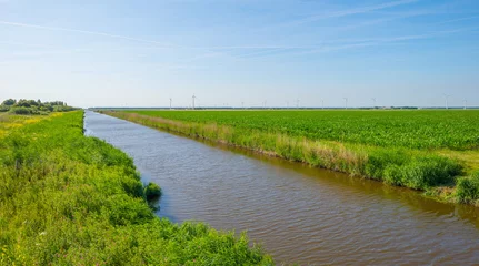 Vitrage gordijnen Kanaal Canal in a rural landscape in summer
