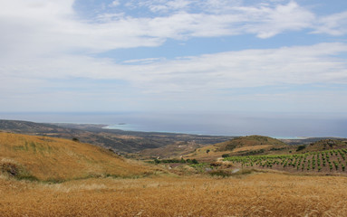 Fototapeta na wymiar Akamas NP, Cyprus