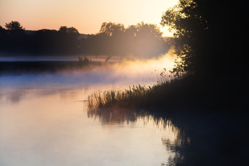 Misty forest river in morning sunlight. Countryside landscape