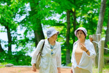 日本人 高齢者女性 旅行