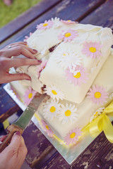 Blooming wedding cake with butterfly