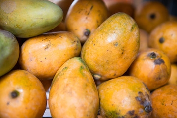 Mangos in the market - Goa