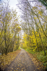 Obraz premium Natur, Wandern, Erleben, Urlaub, Freizeit