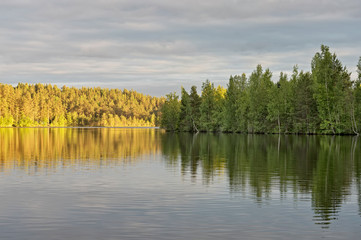 Landscape lake and forest