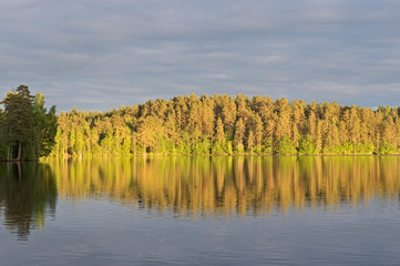 Landscape lake and forest