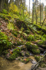 Natur, Wandern, Erleben, Urlaub, Freizeit