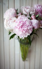 Pink peony